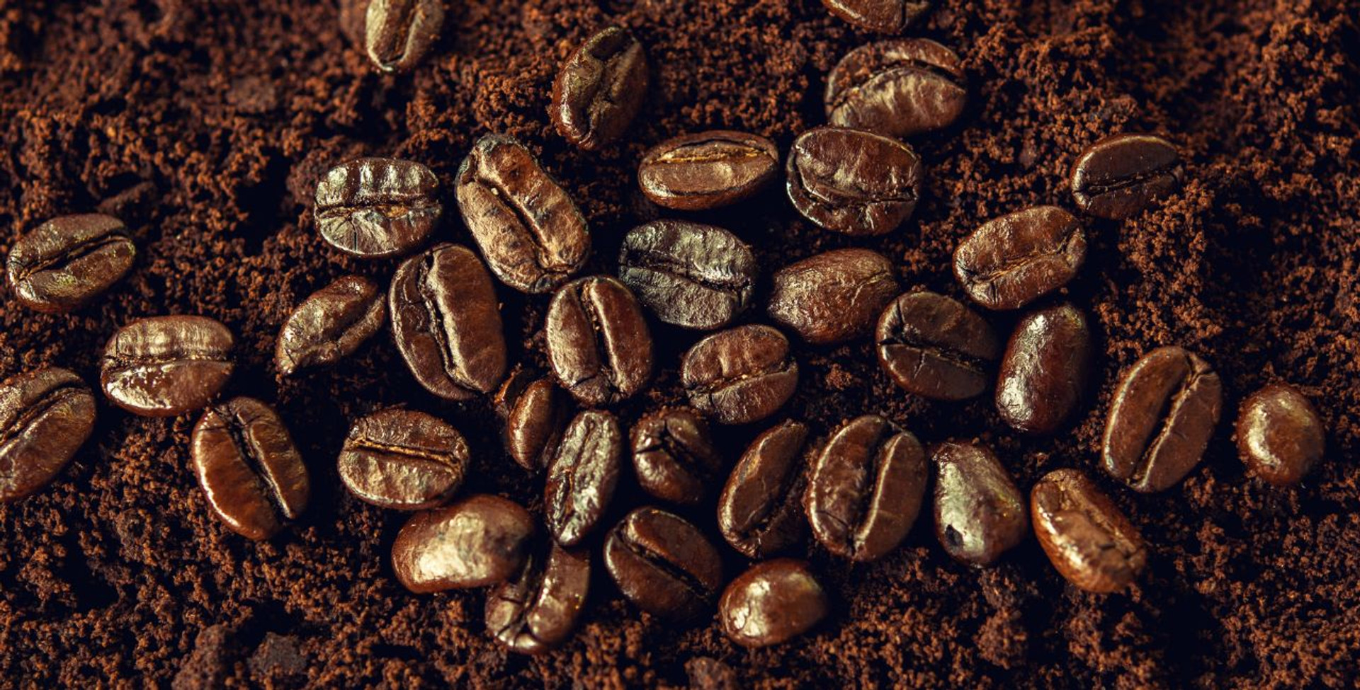 Whole Bean Vs. Ground Coffee thumbnail image