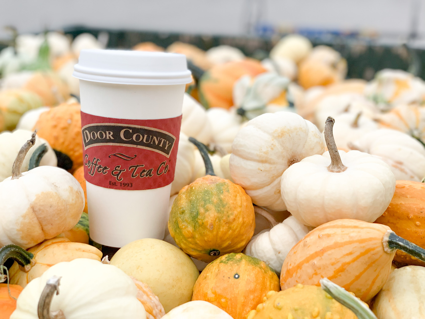 Door County Fall Fun thumbnail image