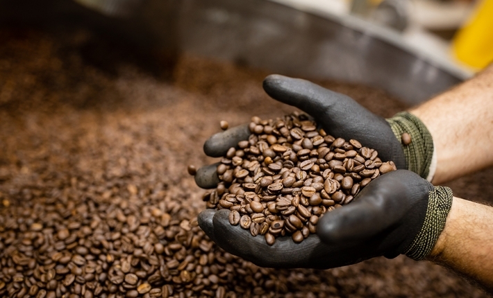 gloved hands holding a double handful of coffee beans over a large hopper