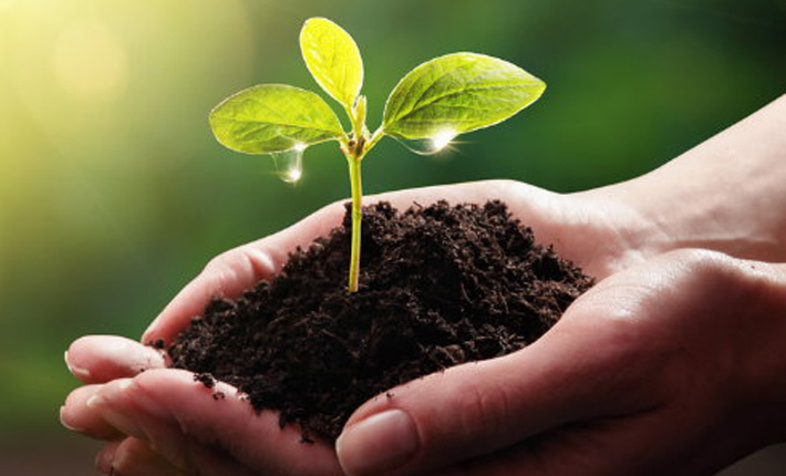 Sustainability
