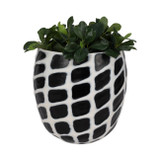 EV19648-01#12" Fleming Small Black And White Glass Vase