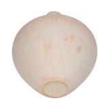 EV19653-01#14" Wallace Cream Small Glass Vase