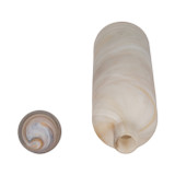 EV19658-01#20" Sutton Grey Glass Bottle Large