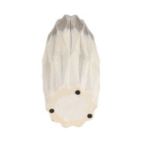 EV20523-02#17" Calista Cream Glaze Large Vase