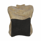 EV20903-02#23" Bastia Large Gold Vase