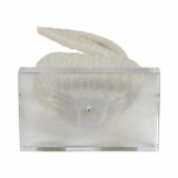 EV21045#19" Mortsel Quartz Resin Statuary