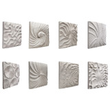 EV21457#S/8 14x14" Majorca Shell Wall Panels