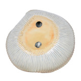 EV21706-02#14" Sopron Large Mushroom Bowl