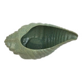 EV21757#19x8" Moura Shell Portugal Planter