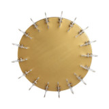 EV21951#16" Sunderland Gold Bowl With Acrylic Ring Base