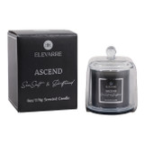 EV80586-07#5" 6oz Ascend Sea Salt & Driftwood Glass Cloche 