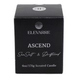 EV80586-07#5" 6oz Ascend Sea Salt & Driftwood Glass Cloche 