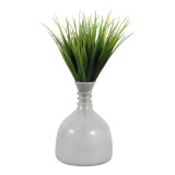 EV23565-01#9" Waite Sm Glass Bottle W/selenite Stopper, White