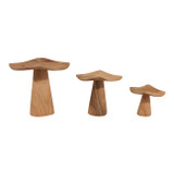 EV23636#S/3 Blanco Teak Mushroom