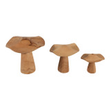 EV23636#S/3 Blanco Teak Mushroom