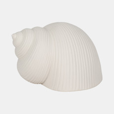 19738-02#6" Bonnet Seashell, White