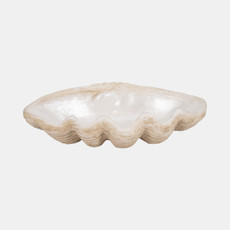 19741-01#16" Pearlized Shell Bowl, Ivory