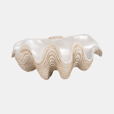 19741-02#16" Pearlized Clam Shell Bowl, Ivory