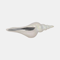 20425-02#12" Long Iridescent Seashell With Silver, Ivory/si