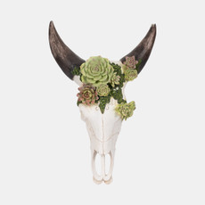 20450-02#18" Bull Skull With Succulents, Multi