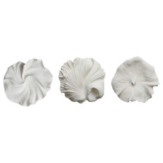 EV21440#S/3 18/19/20" Majorca Quartz Resin Shell Wall Deco