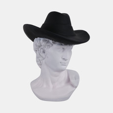 21672#12x10" Greek God With Cowboy Hat, White/black