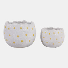 23617-01#S/2 6/8" Daisy Planters, White