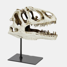 23680-02#12x10" Dinosaur Skull On Stand, White