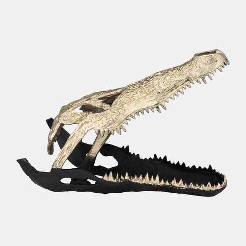 17483-02#Metal,16",alligator Skull,gold/black
