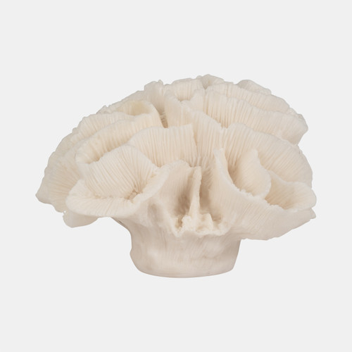 19616-01#6" Petal Coral, Ivory