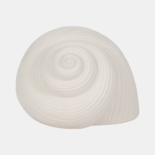 19738-02#6" Bonnet Seashell, White