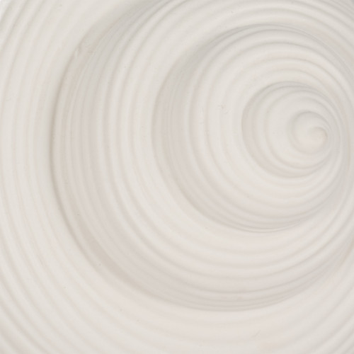 19738-02#6" Bonnet Seashell, White