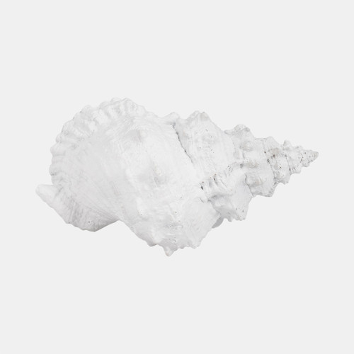19743#9" Conch Shell, White
