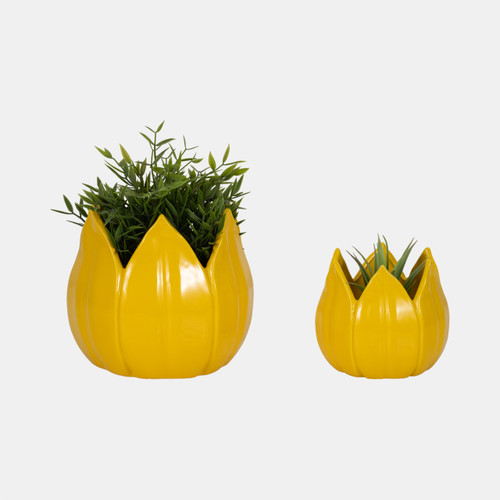 20116-02#S/2 5/8" Petal Planters, Yellow