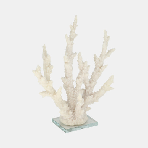 20439-02#14" Branching Coral On Glass Base, White