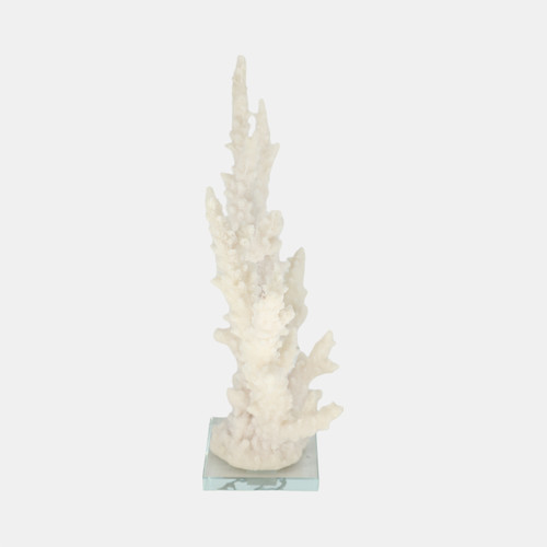 20439-02#14" Branching Coral On Glass Base, White