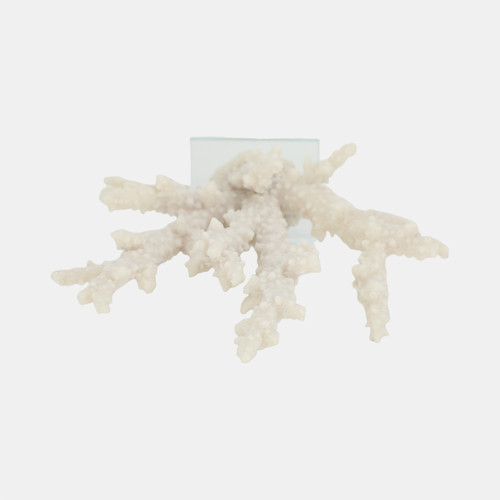 20439-02#14" Branching Coral On Glass Base, White