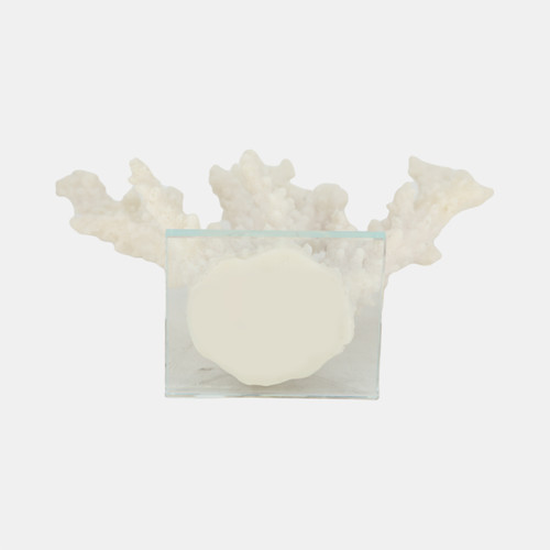 20439-02#14" Branching Coral On Glass Base, White