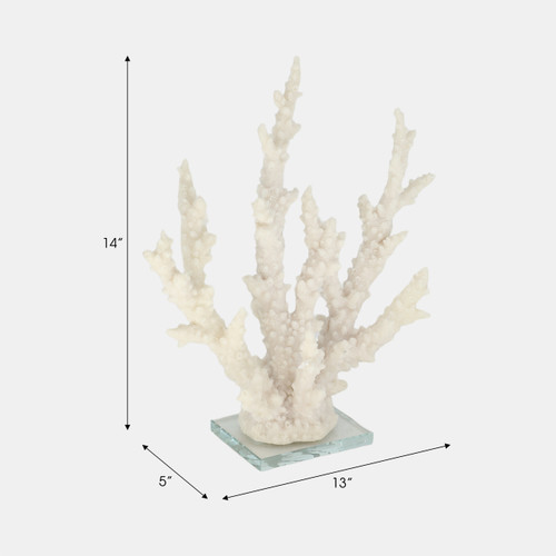 20439-02#14" Branching Coral On Glass Base, White