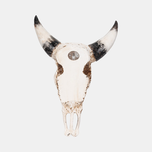 20450-03#19" Western Bull Skull, Brown