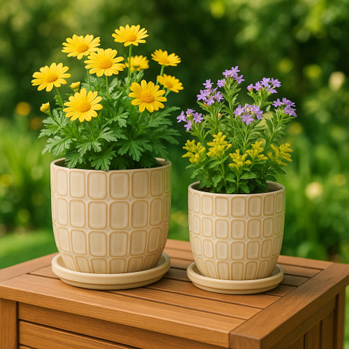 22110-01#S/2 6/8" Squoval Design Saucer Planters, Ivory