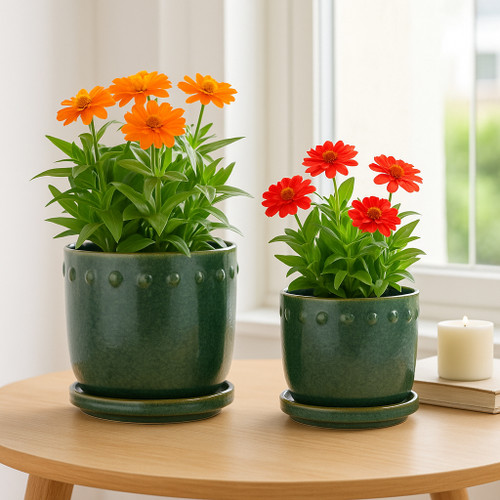 22201-02#S/2 6/8" Reactive Bubble Trim Planter W/saucer,grn