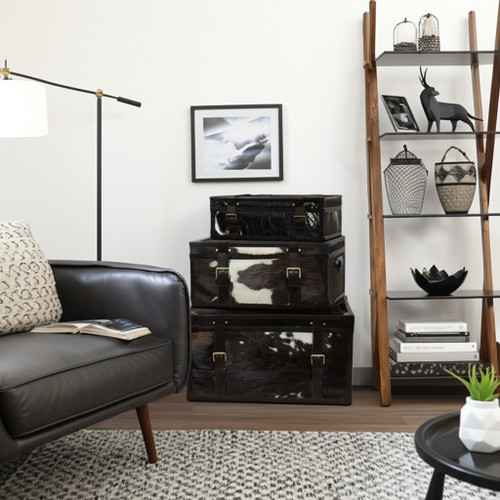 22391#S/3 19/23/27" Hair On Hide Cow Print Trunks, Multi