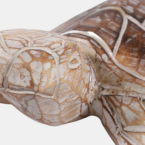 23187#12x8" Alibizia Wood Turtle, Natural