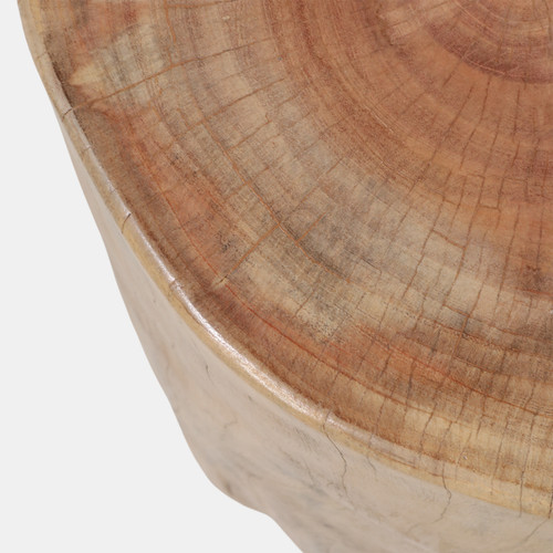 23271#19x15" Tree Trunk Side Table, Natural