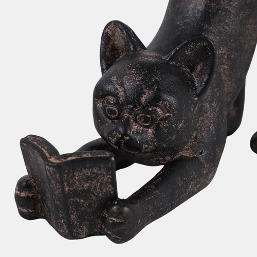 23419#7x6" Kitty Stretching And Reading, Brown