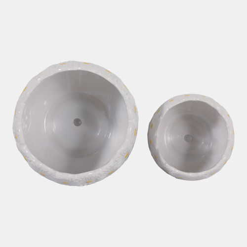 23617-01#S/2 6/8" Daisy Planters, White