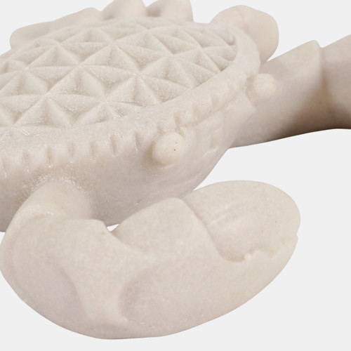 23737#7x9x2 Resin Sand Crab Natural