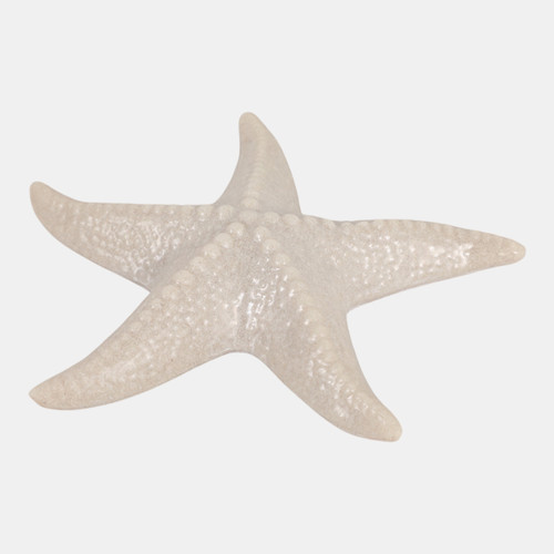 23740#S/3 7x7 Resin Sand Starfish Natural