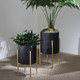 12629-07#S/2 Textured Planter On Metalstand, Black/gld
